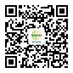 SAGSI硅产业研究.jpg